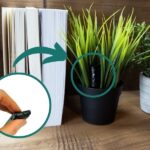 Rośliny w doniczkach i książki stoją na drewnianym blacie, w jednej z roślin widoczna jest ukryta mini kamera. Zbliżenie na sprzęt w małej ilustracji po lewej stronie.